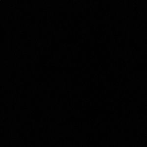 Meet your Posher, Angus